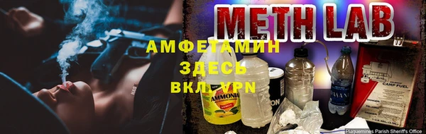 ECSTASY Алзамай