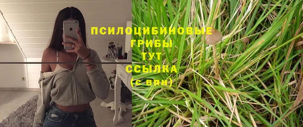 Альфа ПВП Абаза