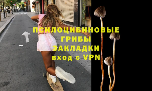 ECSTASY Алзамай