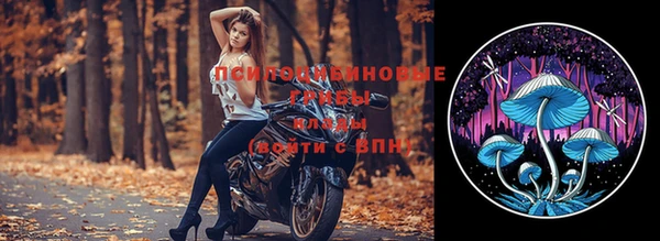 дмт Алексин