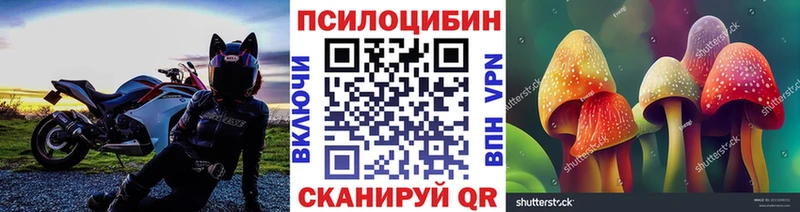 гидра ссылка  Мостовской  Галлюциногенные грибы Psilocybine cubensis 